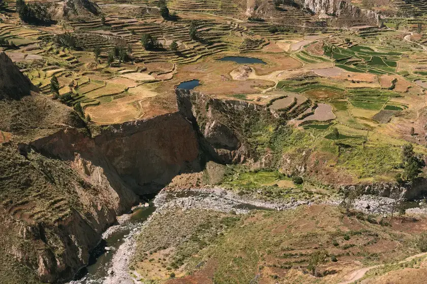 Pre-Inca farming terraces of the Colca Valley